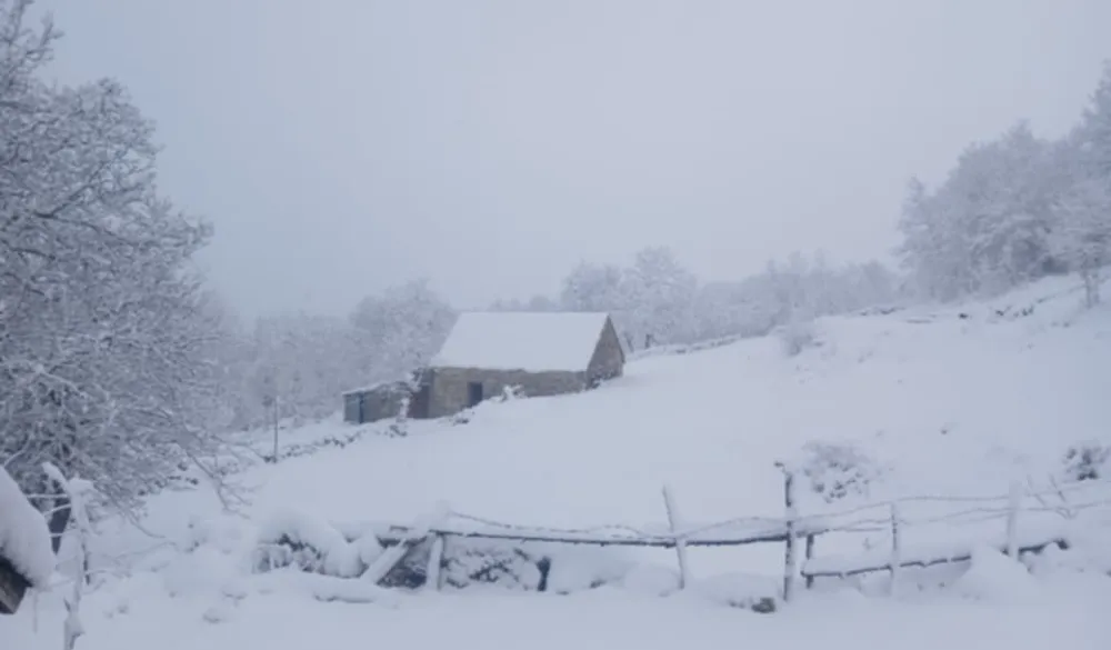 Snijeg u Donjim Crkvicama