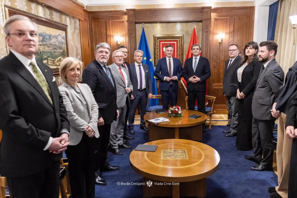 Ibrahimović-Mekalister: Crna Gora ostaje čvrsto na evropskom putu