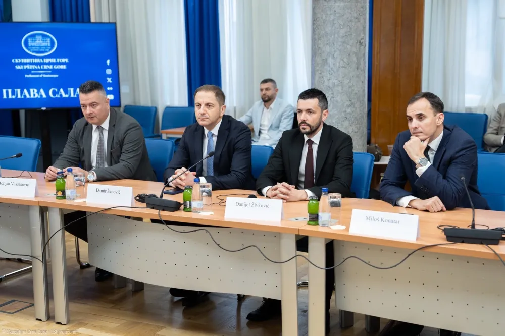 &Scaron;ehović sa EU parlamentarcima: Evropa ne smije zatvarati oči pred vrijednosnim sunovratom u Crnoj Gori