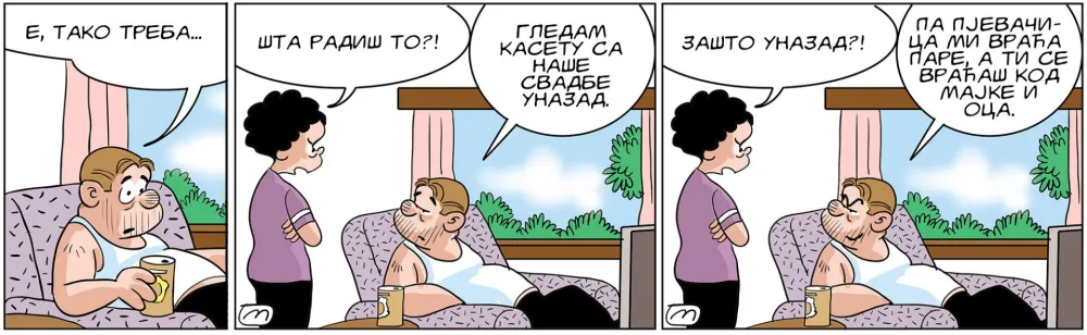 Mirko Zulić strip Dana