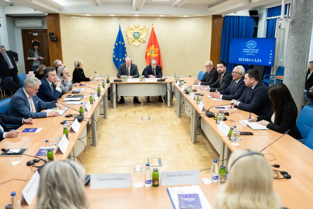 Mandić-Mekalister: Skup&scaron;tina Crne Gore snažno posvećena zavr&scaron;etku pregovora sa EU