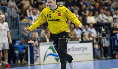 Neboj&scaron;a Simić