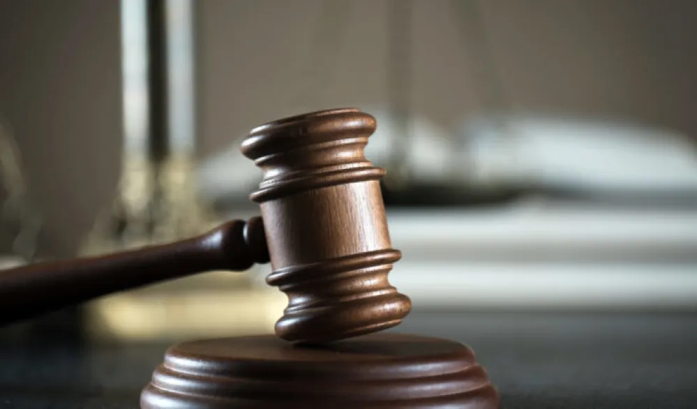 Nik&scaron;ićaninu 20 godina za silovanje i obljubu devetogodi&scaron;njeg djeteta