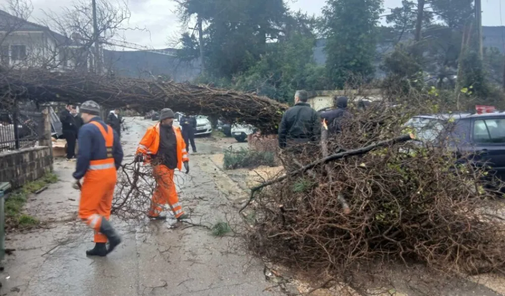 Tivat: Jak južni vjetar napravio &scaron;tetu u Mrčevcu, obarao stabla i o&scaron;tetio krovove