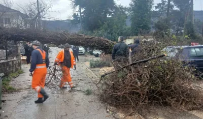 Tivat: Jak južni vjetar napravio &scaron;tetu u Mrčevcu, obarao stabla i o&scaron;tetio krovove