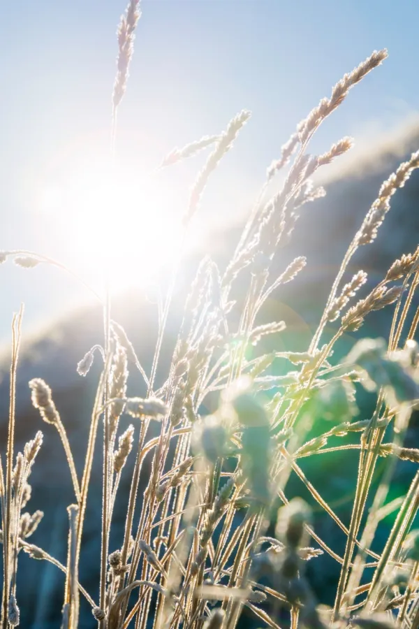 (VIDEO) Danas pretežno sunčano