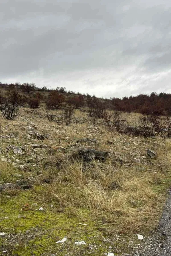 Stanovnici Lje&scaron;anske nahije traže sastanak: Stočno groblje i pumpaza vodu na istoj parceli