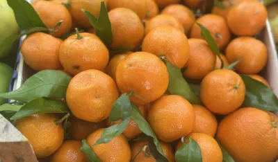 Mandarine do 2,50 eura