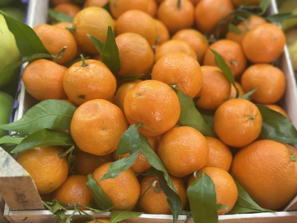 Mandarine do 2,50 eura