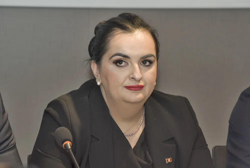 Ni&scaron;ić: Ne postoji namjera da se ugroze prava bilo kog roditelja