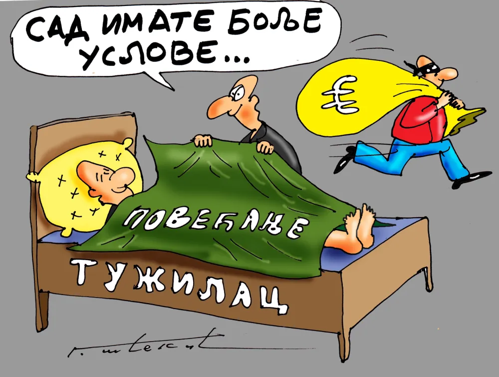 Goran &Scaron;ćekić karikatura Dana