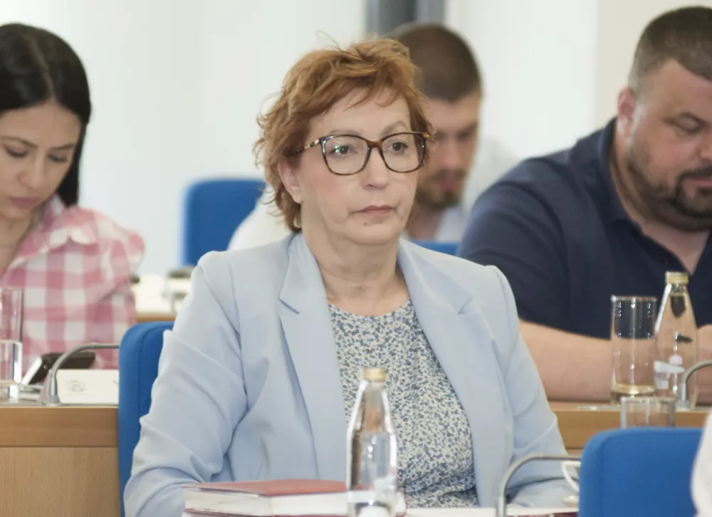 sjednica skupstine glavnog grada