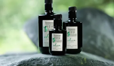 Maslinovo ulje &ldquo;odiva&rdquo; novi nosilac žiga &ldquo;Dobro iz Crne Gore&rdquo;