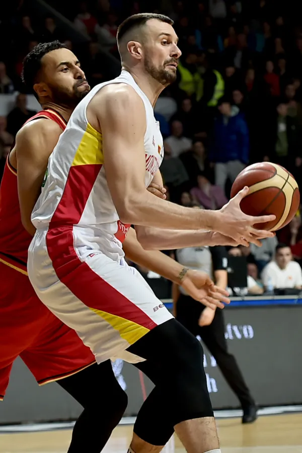 Zoran Nikolić
