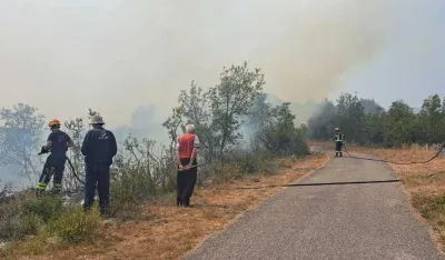 Požar za devet godina progutao preko 140.000 hektara &scaron;uma