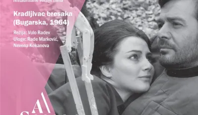 Крадлјивац бресака плакат