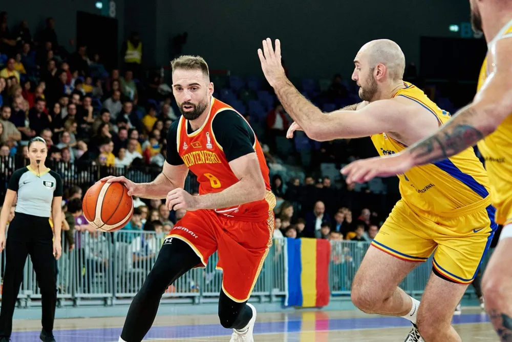 Optimista: Emir Hadžibegović