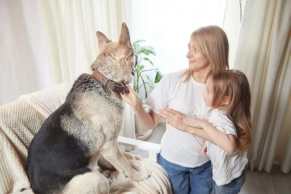 Kako pomoći djetetu da prevaziđe strah od psa i osjeti sigurnost