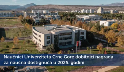 Profesori i istraživači Univerziteta Crne Gore nagrađeni za izuzetna naučna dostignuća