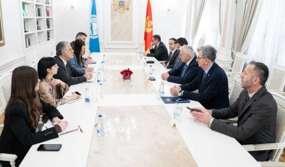 Parlamentarna skup&scaron;tina Mediterana vidi članstvo Crne Gore u EU kao važan doprinos stabilnosti i koheziji