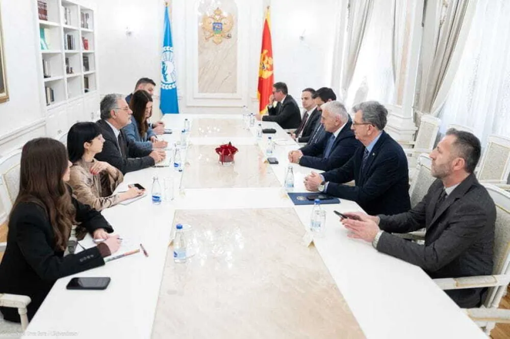 Parlamentarna skup&scaron;tina Mediterana vidi članstvo Crne Gore u EU kao važan doprinos stabilnosti i koheziji