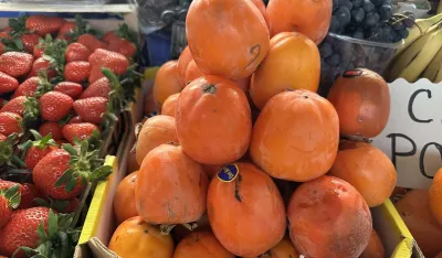 Japanske jabuke sedam eura