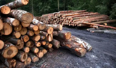 Monstat: Pad proizvodnje &scaron;umskih sortimenata