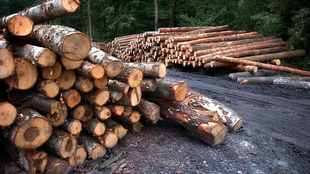 Monstat: Pad proizvodnje &scaron;umskih sortimenata