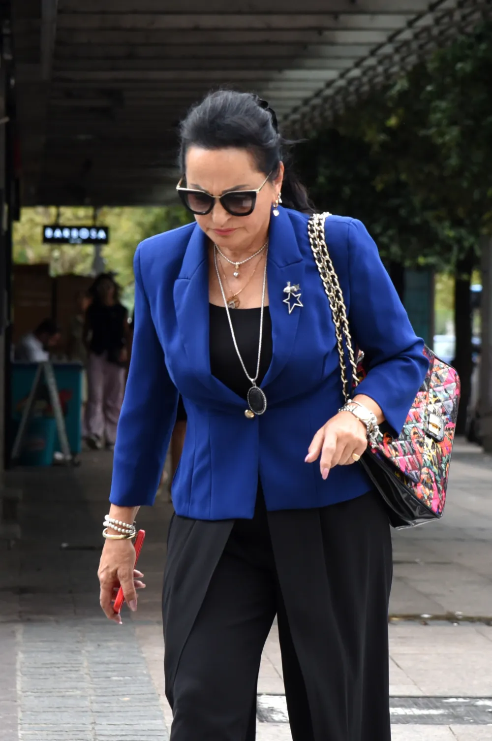 Vi&scaron;i sud povodom određivanja pritvora Vesni Medenici: Novonosatala okolnost je bila i bjekstvo njenog sina