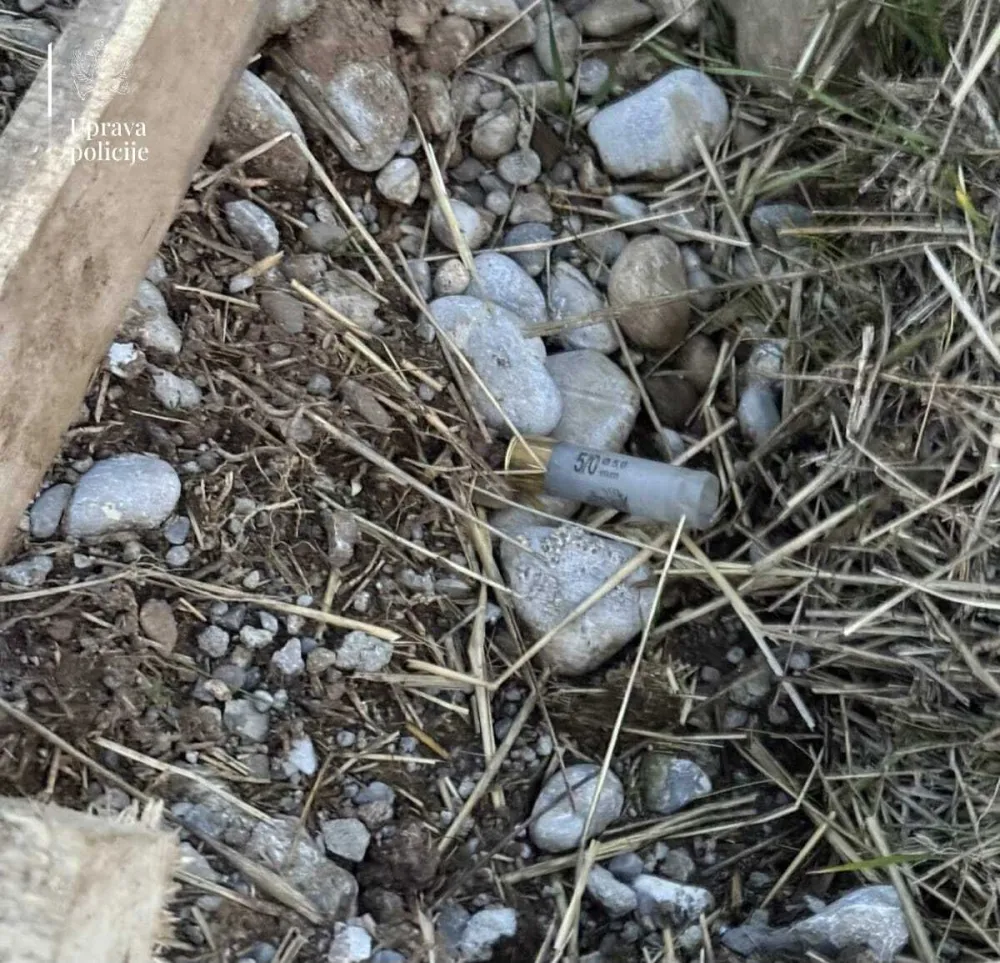 patron za pu&scaron;ku