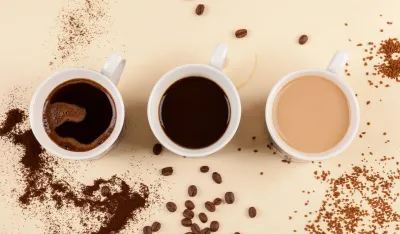 instant, domaću ili filter kafa