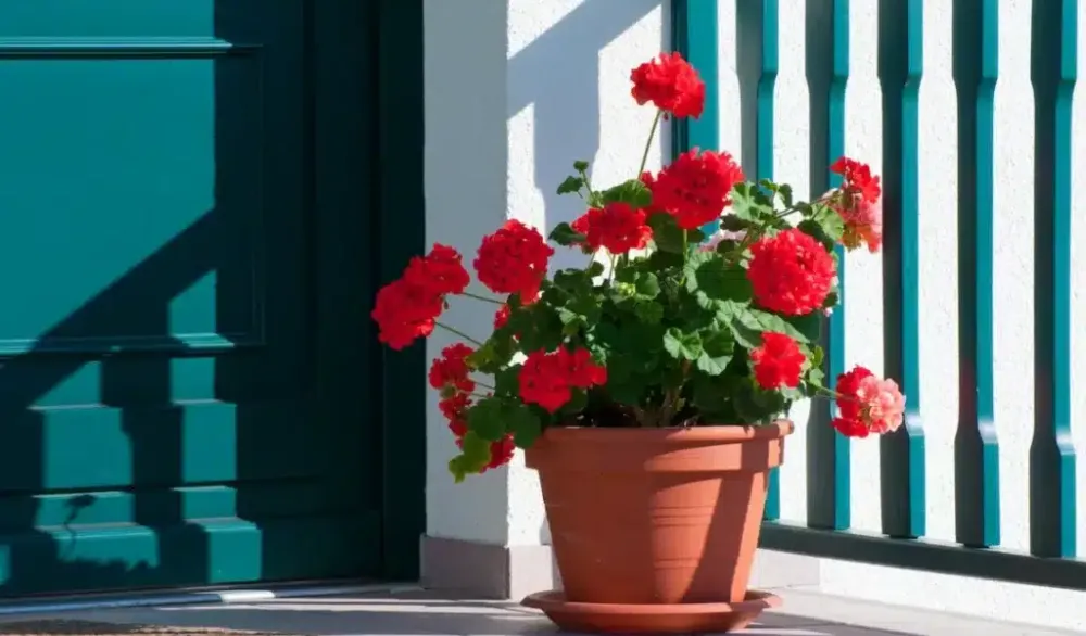 Čestitke povodom Dana žena