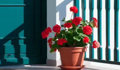 Čestitke povodom Dana žena