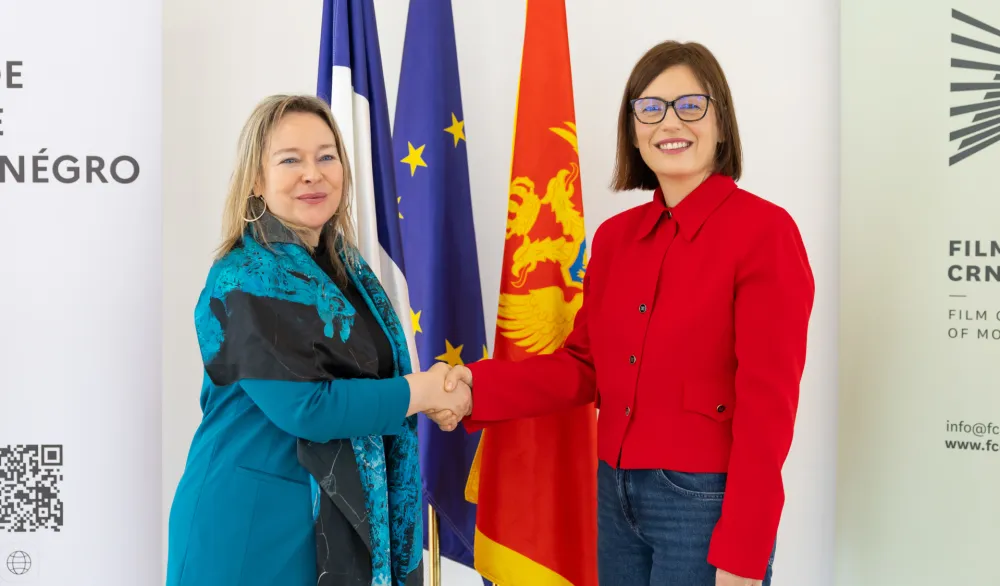 Francuska kinematografija pred domaćom publikom