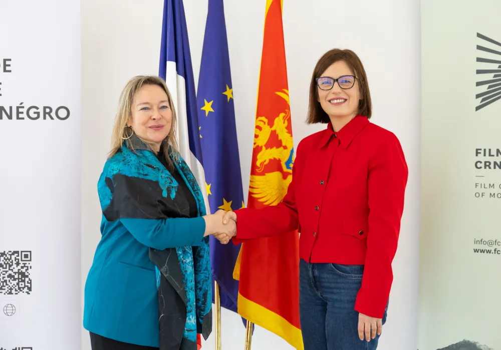 Francuska kinematografija pred domaćom publikom