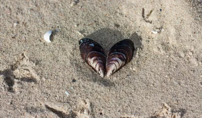 Horoskop za 9. mart: Rak zaobilazi poslovne problem, Djevici dan za nježnost