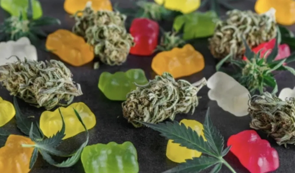 Studija na sto miliona ljudi: Otkrivena veza između narkotika i moždanog udara