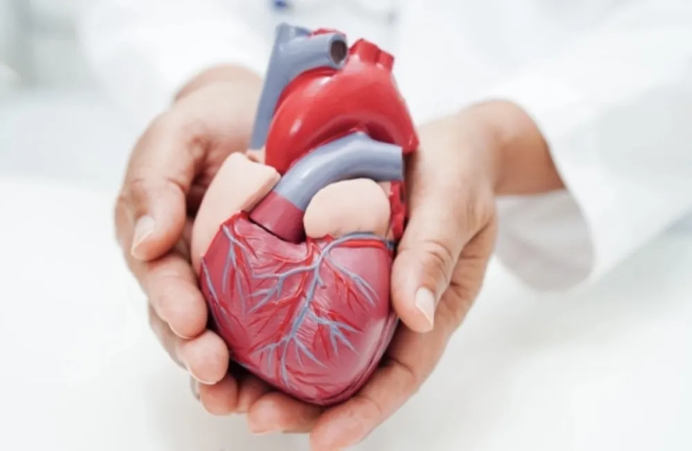 Ove tri male promjene bi mogle da sačuvaju zdravlje srca