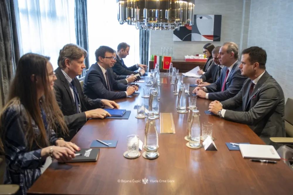 Boka: Napredak Crne Gore na putu ka EU može dati snažan podsticaj dinamici pro&scaron;irenja