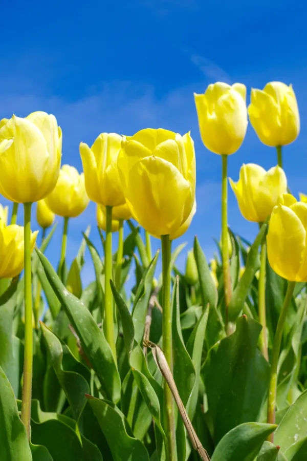 Horoskop za 11. mart: Ovan uživa, Jarcu potrebno opu&scaron;tanje