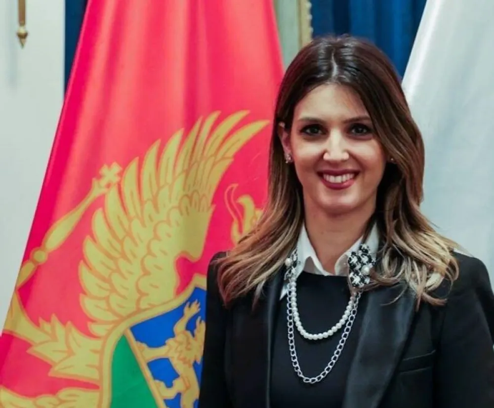 Vukajlović: Smanjenje akciza moglo bi sniziti cijenu goriva za 27 centi po litru