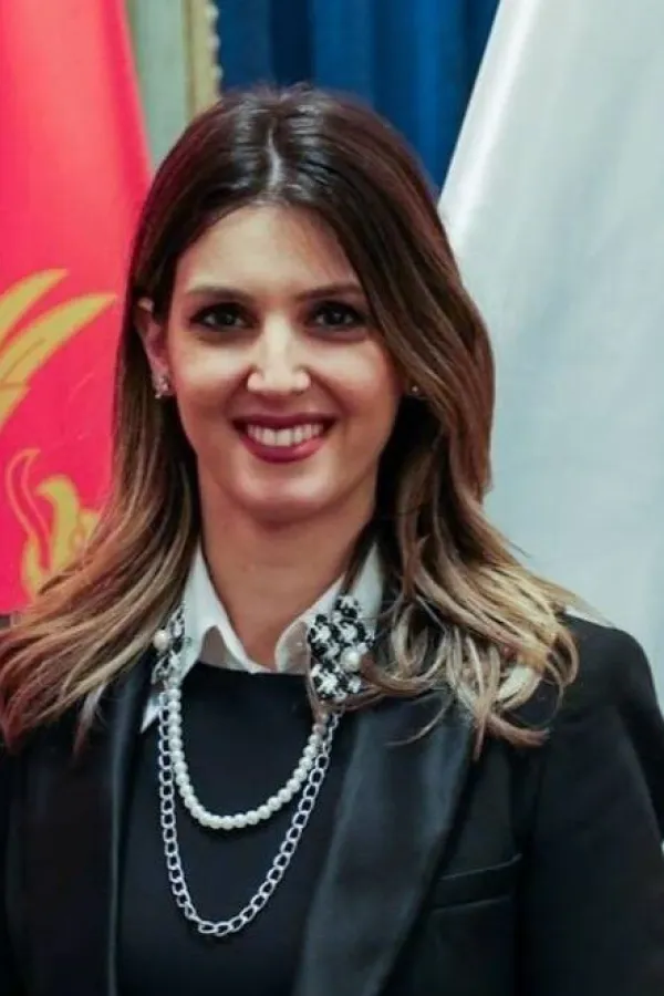 Vukajlović: Smanjenje akciza moglo bi sniziti cijenu goriva za 27 centi po litru