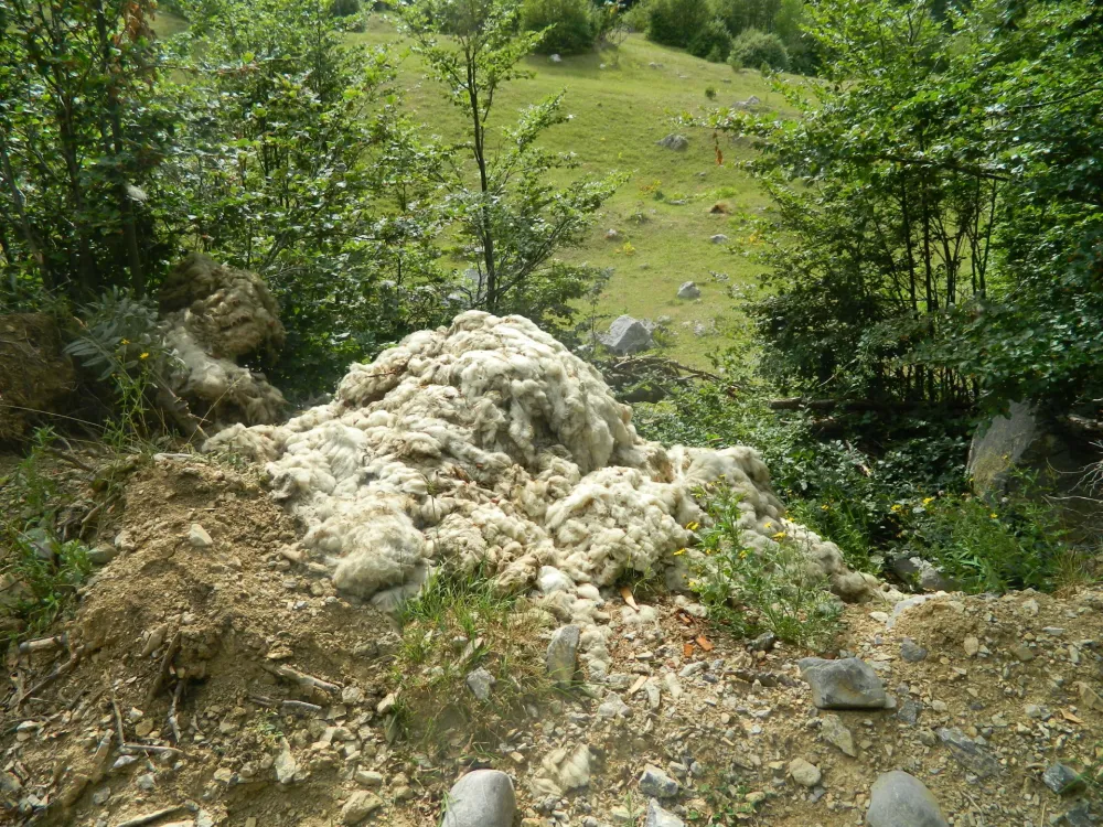 Izumiru stari zanati: Vuna na smetli&scaron;tu, vunovlačare pod katancem