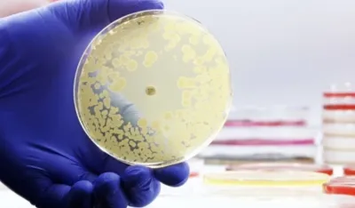 Gori nego &scaron;to se mislilo: Dejstvo antibiotika &scaron;tetno i do osam godina