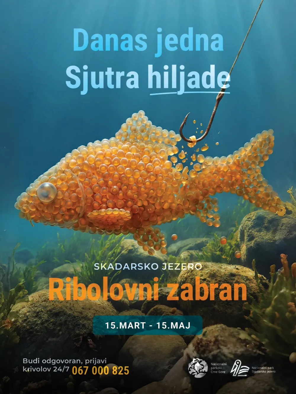 Ribolovni zabran u NP Skadarsko jezero od 15. marta