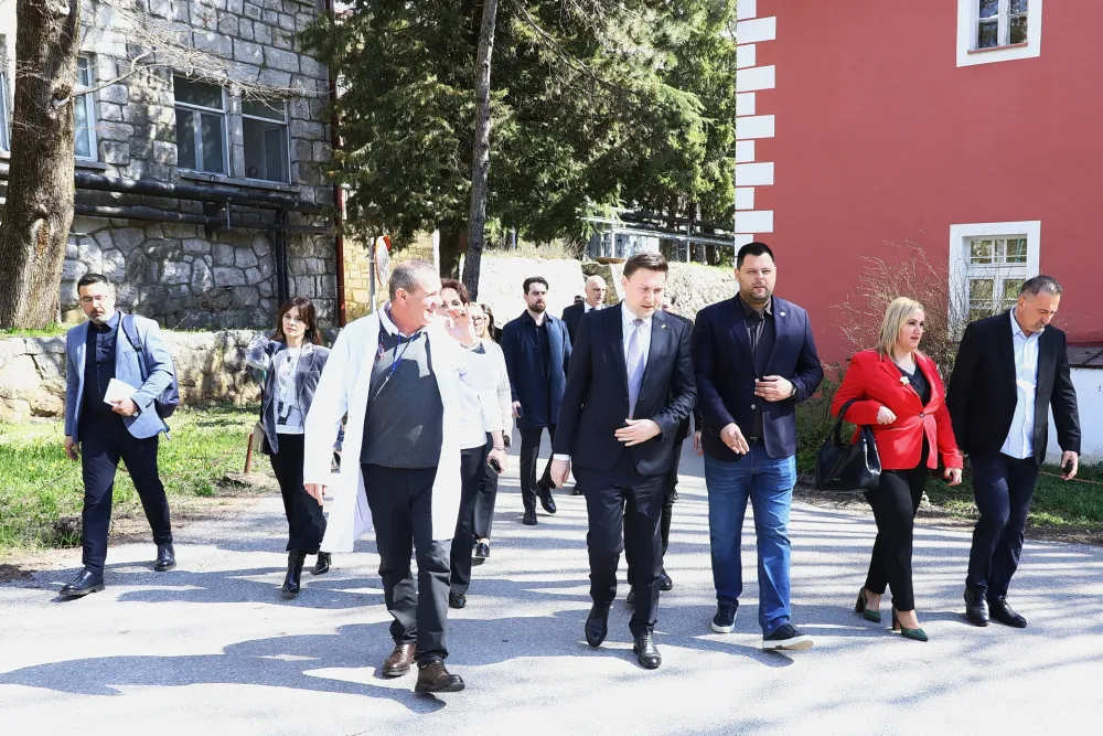 &Scaron;imun obi&scaron;ao Brezovik