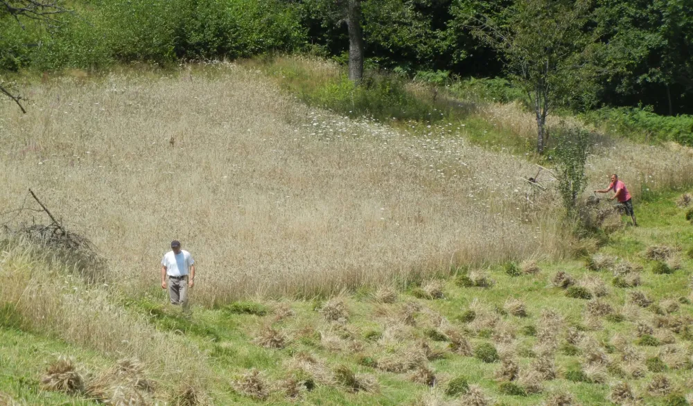 Stvoreni uslovi za investiranje 128 miliona u poljoprivredu