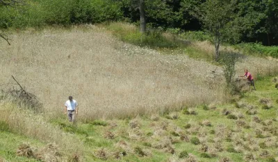 Stvoreni uslovi za investiranje 128 miliona u poljoprivredu