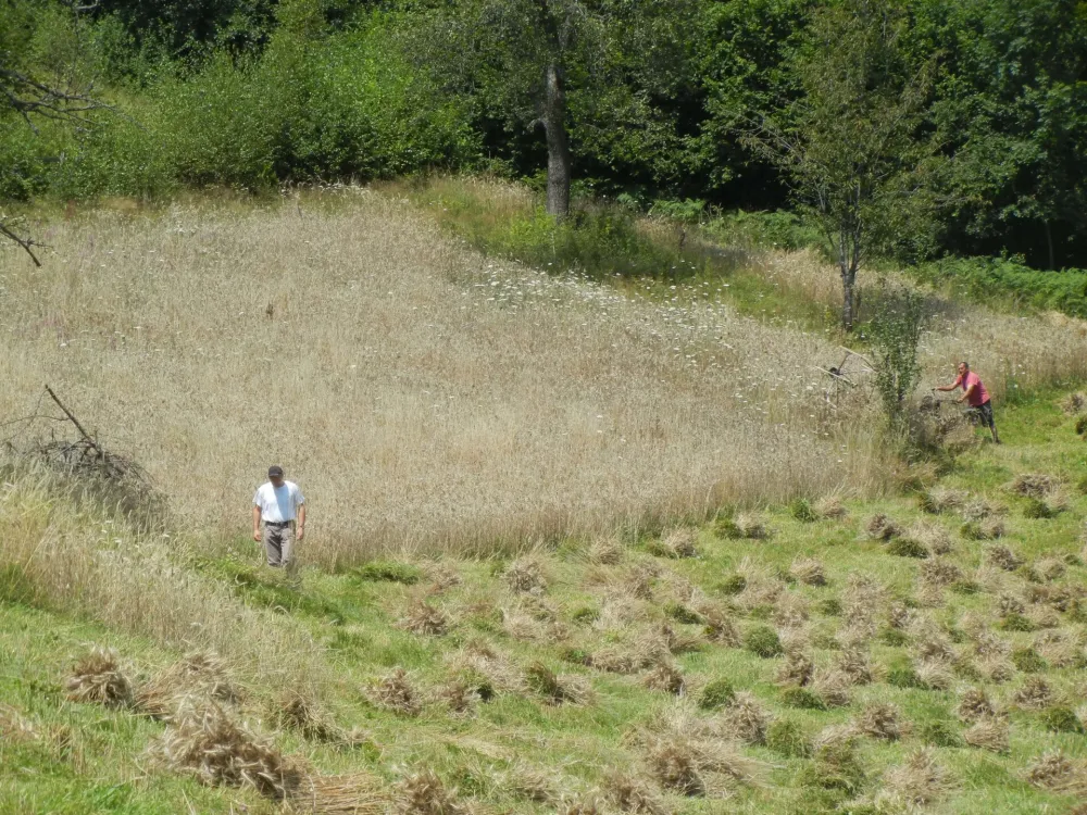 Stvoreni uslovi za investiranje 128 miliona u poljoprivredu