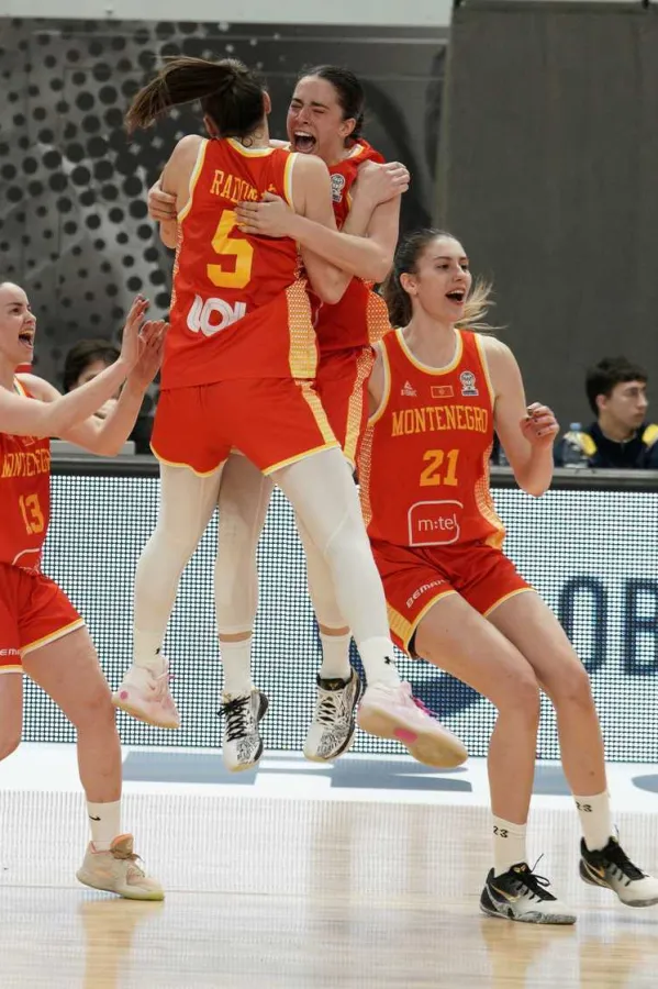 Ko&scaron;arka&scaron;ice Crne Gore